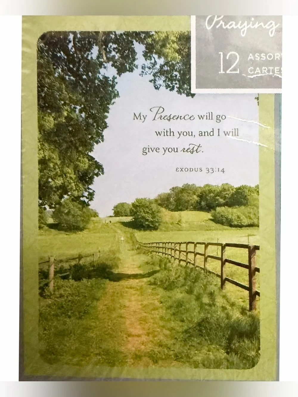 3/$10 DaySpring Praying for You 12 Assorted Cards Religious